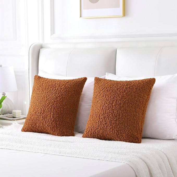 FUTEI Rust Throw Pillow Covers 22x22 Inch Set of 2,Furry Faux Fur Teddy Boucle Textured Cushion Covers,Soft Fluffy Decorative Pillow Case,Home Decor for Couch Bed Living Room Office Car