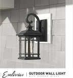 Emliviar Outdoor Wall Lanterns 2 Pack, 1-Light Exterior Wall Mount Light, Black Finish with Clear Seedy Glass, 2084B-2BK