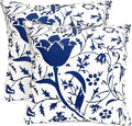 Decorative Throw Pillow Covers Set of 2 Blue Pillow Covers 20x20 inch Short Plush Couch Pillow Cases Floral Throw Pillows,Farmhouse Outdoor Pillow Covers for Sofa Living Room Cushion Covers