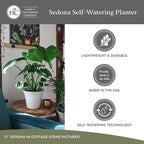 The HC Companies Sedona Round Self-Watering Pot - Lightweight Self Care Planter - Plastic Planter for Herbs & More - Durable Plant Pots for Indoor & Outdoor Plants (12" Cottage Stone, Pack of 2)