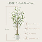 Bellacat 6ft Minimalist Artificial Citrus Tree with Large Exquisite Planter, 72in Faux Citrus Tree with Realistic Leaves, Faux Tree Indoor Outdoor for Home Office Living Room Bedroom Porch Decor.