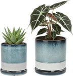 Ceramic Plant Pots Flower Pots Round Planter with Drainage Hole and Saucer Indoor Outdoor with Mesh Pad and Silicone Plug Office Home Decor 5.5+6.5 inch Set 2