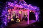 Connectable Purple Halloween Lights, 2pack 164ft 400Led 13 Modes String Lights Plug in, Twinkle Light with Timer Indoor/Outdoor for Tree Party Halloween Decorations
