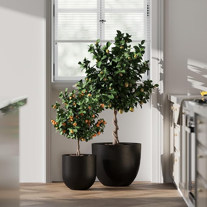 DTY Signature Mount Belford Lightweight and Durable Modern Fiberstone Egg Shaped Planter for Indoor Outdoor Drainage Hole & Rubber Plug Weather Resistant, 15" H x 18" Dia, 15.5" Opening - Large, Black