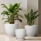 G EPGardening 10 Inch Plant Pot Ceramic Pots for Plants Indoor Outdoor Plant Pots with Drainage Hole and Saucer Round Large Flower Pot for Home Garden Office White