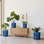 Ceramic Planter - 8 Inch Plant Pot Indoor with Drainage Holes and Saucer Round Planter Outdoor Mid-Century Modern Flower Pot Succulent Pot for Home Decor Blue