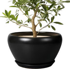 Ceramic Pot for Plants Large - 13 Inch Plant Pot Indoor with Drainage Hole and Saucer Round Planter Decorative Planter Outdoor Flower Pot for House Decor Balcony Black