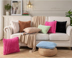 DEELAND Pack of 2,Double-Sided Faux Fur Plush Decorative Throw Pillow Covers Fuzzy Striped Soft Pillowcase Cushion Covers for Sofa Couch Bedroom Black 26x26 inch