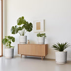 Ceramic Planter Pot - 10 Inch Plant Pot for Indoor Outdoor Plants Round Large Flower Pot with Drainage Holes and Saucer for Home Garden Patio Decor White