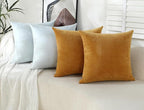 Jeneoo Plum Purple Decorative Throw Pillow Covers Soft Chenille Comfy Lumbar Couch Cushion Cases for Living Room Sofa Decor (Set of 2, 12 x 20 Inches)
