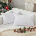 Kevin Textile Pack of 2 Velvet Pillow Covers Striped Throw Cushion Case Set Accent Corduroy Lumbar Pillowcases with Hidden Zipper for Home Decor Indoor Outdoor (12x20 Inch Pure White)
