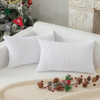 Kevin Textile Pack of 2 Velvet Pillow Covers Striped Throw Cushion Case Set Accent Corduroy Lumbar Pillowcases with Hidden Zipper for Home Decor Indoor Outdoor (12x20 Inch Pure White)