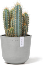 Ecopots Oslo Mini Durable Modern Round Indoor/Outdoor Recycled-Based Composite Flower Pot Planter, White Grey, 6"