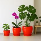 Deep Dream 10 Inch Plant Pot- Ceramic Planter Pot Round Plant Pots for Indoor Plants Outdoor Large Flower Pot with Drainage Holes & Trays, Red