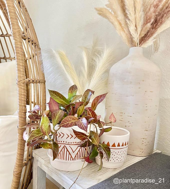 Geometric Ceramic Planters, 6 Inch Hand-Painted Ceramic Embossed Plant Pots with Drainage Holes, 2 Set Boho Minimalistic Planters for Indoor and Outdoor Plants(Beige & Brown)