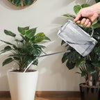 Plastic Watering Can - with Long Spout - 1/4 Gallon - 34 Oz - Whte