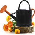 Plexon 1 Gallon Metal Watering Can Outdoor, Flower Plant Gardening Garden Large Watering Can Pot Pitcher, Steel Orange Handles and Removable Spray Spout, Black