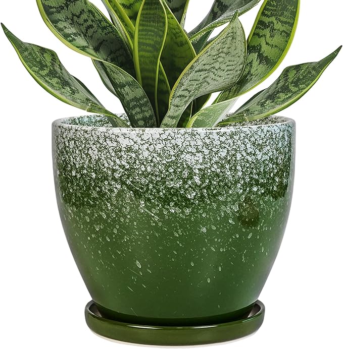 Ceraimc Plant Pot - 6 Inch Planter with Drainage and Plant Tray, Round Succulent Planters, Decorative Flower Pot for Indoor, Room Office Patio House Decor, Gifts for Women Men, Green