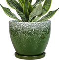 Ceraimc Plant Pot - 6 Inch Planter with Drainage and Plant Tray, Round Succulent Planters, Decorative Flower Pot for Indoor, Room Office Patio House Decor, Gifts for Women Men, Green