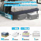 2 Pack Under Bed Storage with Wheels 10" Height, Rolling Storage Bins XXL 60L, Underbed Shoe Storage Containers with Label & Clear Lid, Dorm Under bed Drawers for Clothes, Shoes, Quick Assembly, Grey
