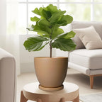 6.8 Inch Planter - Ceraimc Pots for Indoor Outdoor Plants Round Planters Modern Flower Pot with Drainage and Tray Home Garden Decor Brown