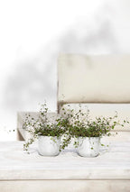 Ecopots Oslo Mini Durable Modern Round Indoor/Outdoor Recycled-Based Composite Flower Pot Planter, Pure White, 4.5"