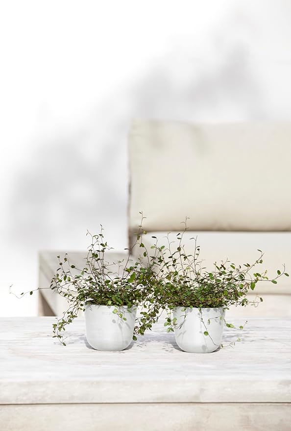 Ecopots Oslo Mini Durable Modern Round Indoor/Outdoor Recycled-Based Composite Flower Pot Planter, Pure White, 4.5"