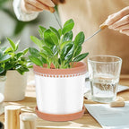 Ceramic Plant Pots, 6 Inch Planters for Indoor Plants, Flower Pots with Drainage Hole and Saucer, Set of 2 - Crackle Glaze White