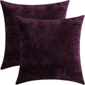 Jeneoo Plum Purple Decorative Throw Pillow Covers Soft Chenille Comfy Square Couch Cushion Cases for Living Room Sofa Decor (Set of 2, 16 x 16 Inches)