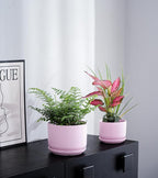 Ton Sin Plant Pots, 4.1+5.1+6.5 inch, Set of 3, Ceramic Planters with Drainage Hole and Saucer, Indoor Flower Pot with Drainage Hole, Gifts for Mom(Matte Pink)