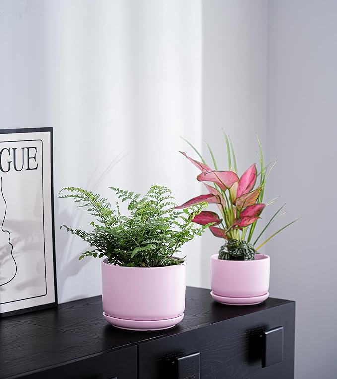 Ton Sin Plant Pots, 4.1+5.1+6.5 inch, Set of 3, Ceramic Planters with Drainage Hole and Saucer, Indoor Flower Pot with Drainage Hole, Gifts for Mom(Matte Pink)