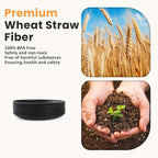 Homienly 5.7 Inch Small Plates, Wheat Straw Mini Plate,Set of 8, Unbreakable Dessert Dishes Plates,Plate Set Ideal for Dessert, Appetizers, Small Serving, Side Dish, Black