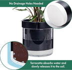 Phoenix Vine 8 Inch Self Watering Terracotta Planter, Black Terracotta Clay Pot with Glass Reservoir for Indoor Plants, Herbs, Flowers, Set of 1, 52-C-H-1