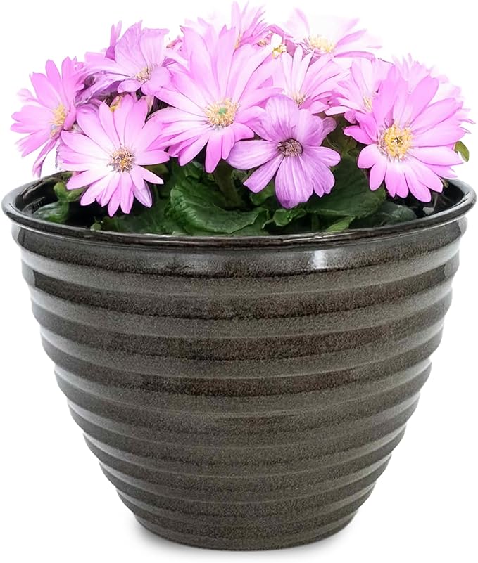 Headwind Avondale Collection Ironstone Decorative Planter - 6 Inch Pebblewood Grey Finish, Lightweight, Durable, Rust-Resistant, Weatherproof, Indoor & Outdoor Use by Robert Allen