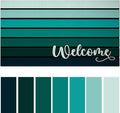 Bulijojo Sage Green Entrance Door Mat Large 17 x 30 Inch Entry Way Doormat Front Door Rug Outdoor Heavy Duty Welcome Mat, Non Slip Rubber Back Low Profile