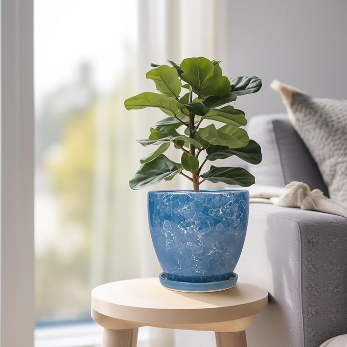 Ceramic Pots for Plants - 6 Inch Planter with Drainage Hole and Plant Tray, Decorative Succulent Pot, Round Flower Planter for Indoor, Garden Living Room Decor, Gifts for Plant Lovers, Blue
