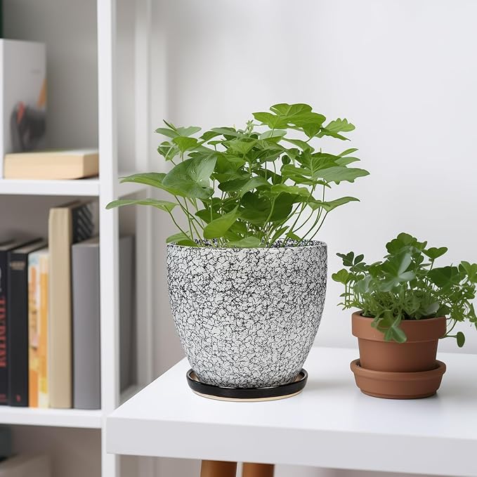 Ceramic Planter - 6 Inch Plant Pot for Indoor Ourdoor Plants, Round Succulent Planter, Decorative Flower Pots with Drainage Hole and Saucer, Home Desk Decor, Housewarming Gifts, White-Black