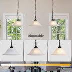Vintage Plug in Pendant Light,Hanging Lights with Plug in Cord,16.4Ft Cord & 14.7Ft Chain Dimmable Black Hanging Light Fixture,Hanging Lamp with On/Off Switch for Kitchen,Bedroom,Living Room