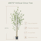 Bellacat 6ft Artificial Minimalist Citrus Tree with Lifelike Leaves, 72in Faux Citrus Tree with Realistic Trunks, Faux Tree Indoor Outdoor for Home Office Living Room Bedroom Porch Decor.