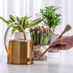 Yowon Stainless Steel Watering Can 40 oz Long Spout Indoor Outdoor Plant Watering Wrap Twine Around The Handle with 2 Removable Spray Spout for Flowers