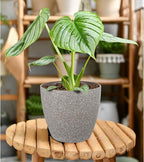 Vanavazon Plant Pots 9/8/7 Inch Set of 3 Flower Pots Indoor Outdoor Plastic Planters with Drainage Hole and Tray (Speckled Beige)