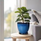 Ceramic Planters for Indoor Plants - 6.8 Inch Plant Pot with Drainage Hole and Saucer Round Modern Planter Home Garden Patio Decor Blue