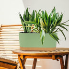 QCQHDU 16" L x 7.6" W x 7" H Window Planter Box, 2 Pack Self Watering Pots for Indoor Plants with Drainage Holes & Saucer, Outdoor Flower Pots Home Garden Modern Decor