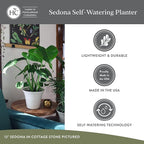 The HC Companies Sedona Round Self-Watering Pot - Lightweight Self Care Planter - Plastic Planter for Herbs & More - Durable Plant Pots for Indoor Plants & Outdoor Plants (7" Honey, Pack of 4)