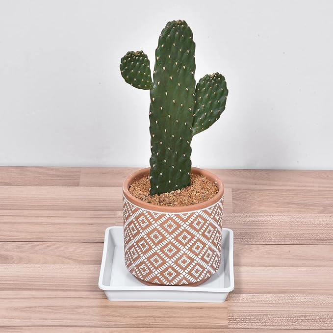 MECCANIXITY Plant Pot Saucer 6 Inch Plastic Square Flower Drip Tray for Indoor Outdoor, White Pack of 6