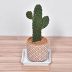 MECCANIXITY Plant Pot Saucer 6 Inch Plastic Square Flower Drip Tray for Indoor Outdoor, White Pack of 10