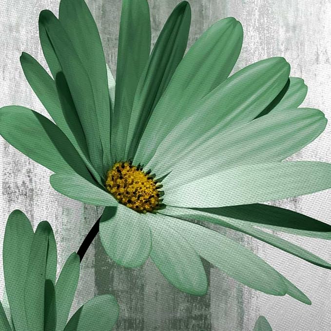 Rustic Farmhouse Shower Curtain, Farm Sage Green Daisy Floral Flowers and Butterfly on Country Wooden Shower Curtain for Bathroom, Turquoise Teal Gray Grey Shower Curtain with 12PCS Hooks, 47X64IN