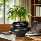 Ceramic Pots for Plants 11 Inch - Bonsai Planter for Outdoor Plants, Black Planter with Drainage Hole, Decorative Plant Pots for Home Decor, Gift for Women Men