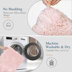 Walensee Bathroom Rug (24 x 36, Blush) Extra Soft and Absorbent Shaggy Bath Mat Machine Washable Microfiber Non Slip Luxury Bathroom Floor Mat