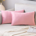 EMEMA Pack of 2 Velvet Throw Pillow Covers Decorative Rectangle Pillowcase Soft Solid Cushion Case for Sofa Bedroom Chair Car 12x20 Inch Bright Pink